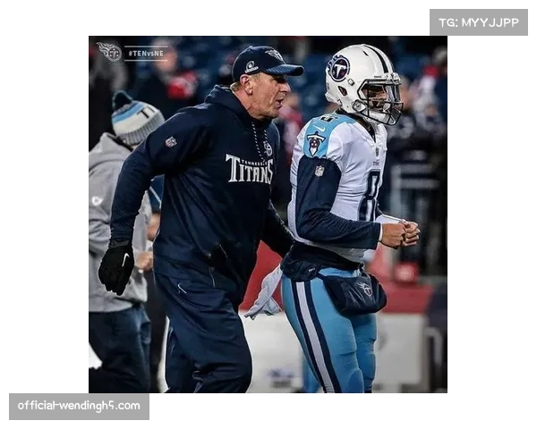 美联东区爱国者领跑 比尔海豚胜场差仅两场